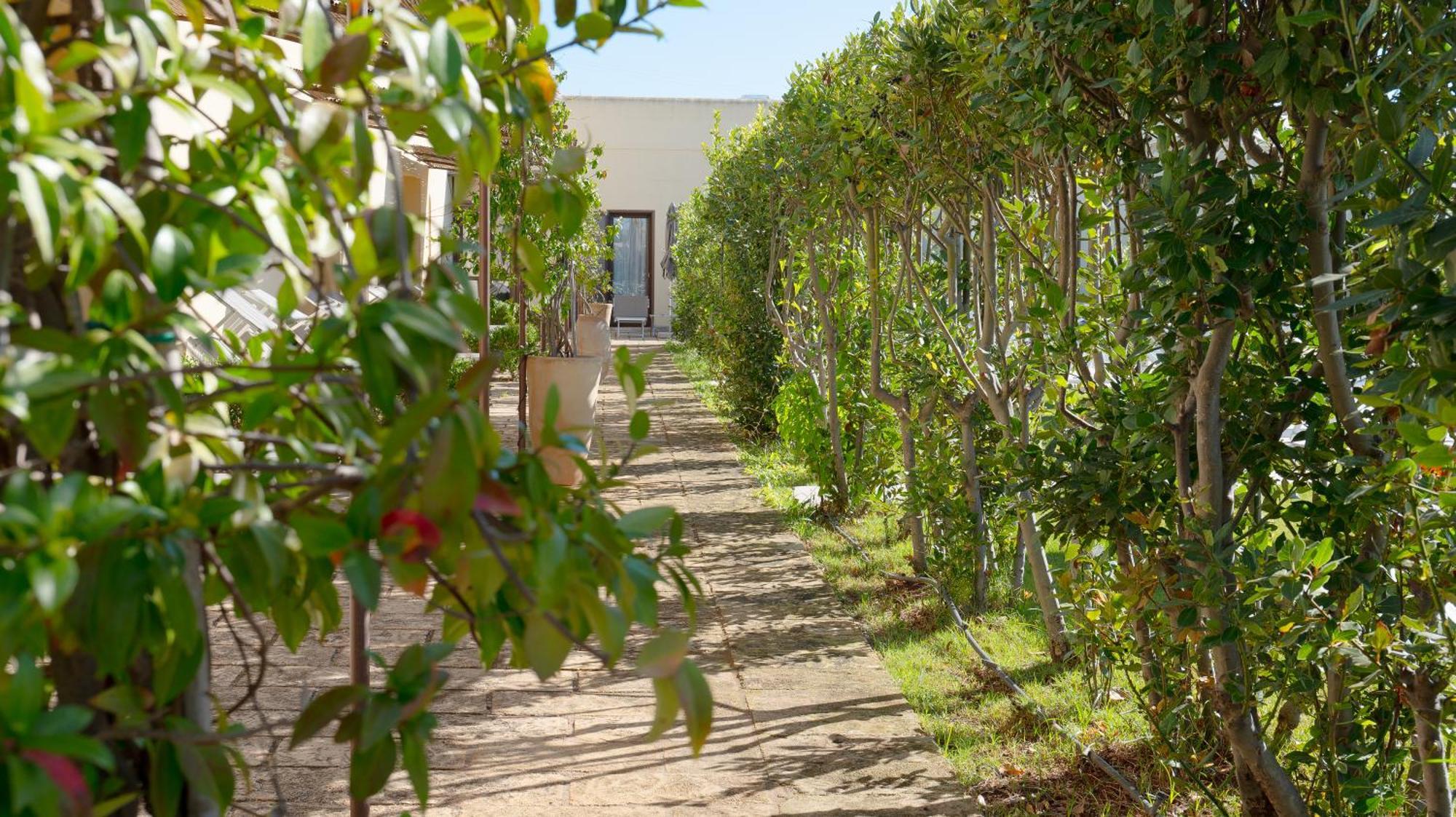 Delle Rose, Hotel & Horse Riding Torre Vado Exterior photo