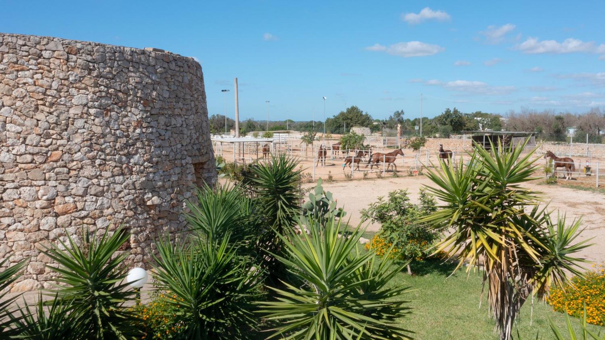 Delle Rose, Hotel & Restaurant Torre Vado Exterior photo